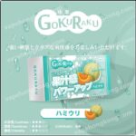 Gokuraku極樂煙彈 日本品牌 (Relx 1代通用)(多口味)(煙彈x3)(獨立包裝) - VapeHongKong