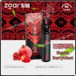 Zgar ZG25 Disposable Vape Pen (3000 Puffs/10ML) (Rechargeable) (Multiple Flavors)