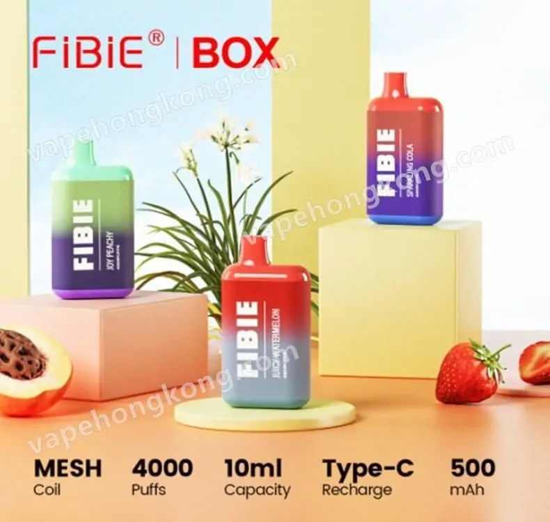 FiBie Box 一次性電子煙(4000口)(多口味)(可充電)