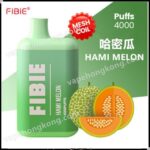 FiBie Box 一次性電子煙(4000口)(多口味)(可充電)