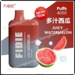 FiBie Box 一次性電子煙(4000口)(多口味)(可充電)