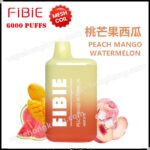 FiBie Box 一次性電子煙(4000口)(多口味)(可充電)