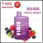 FiBie Box 一次性電子煙(4000口)(多口味)(可充電)