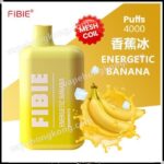 FiBie Box 一次性電子煙(4000口)(多口味)(可充電)